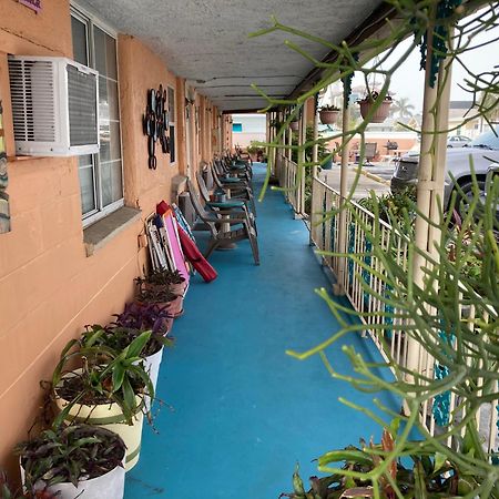 Michaels Siesta Motel St. Petersburg Kültér fotó
