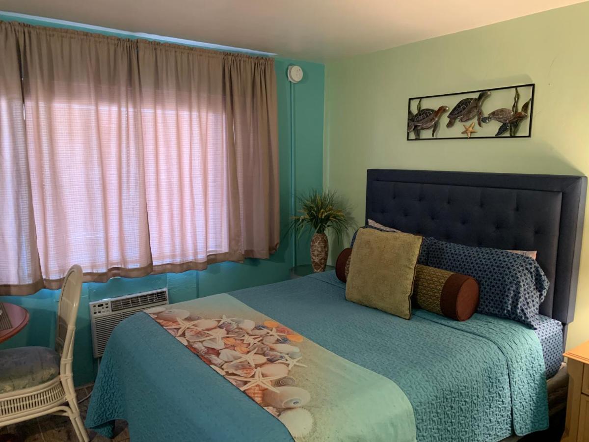 Michaels Siesta Motel St. Petersburg Kültér fotó