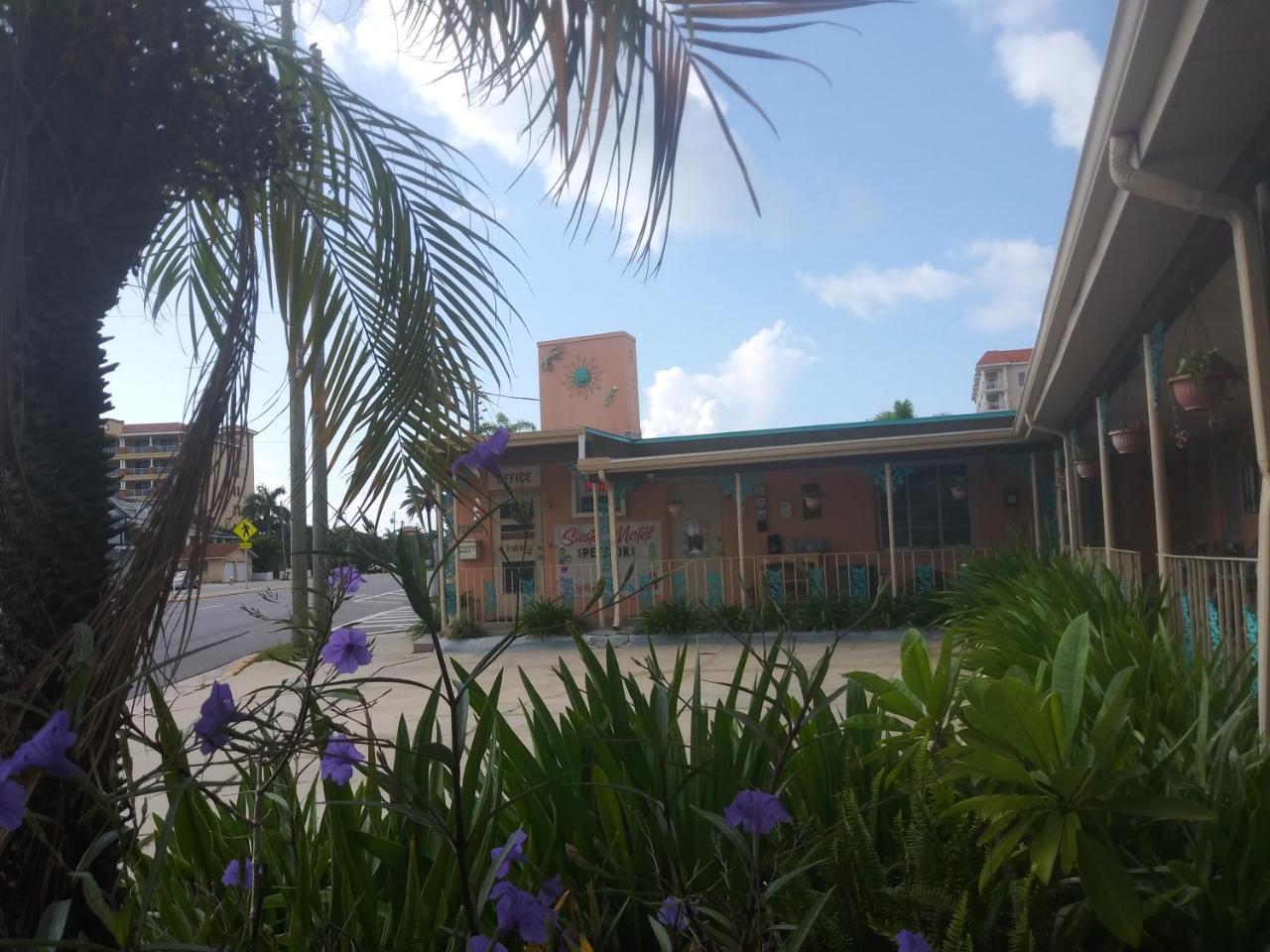 Michaels Siesta Motel St. Petersburg Kültér fotó